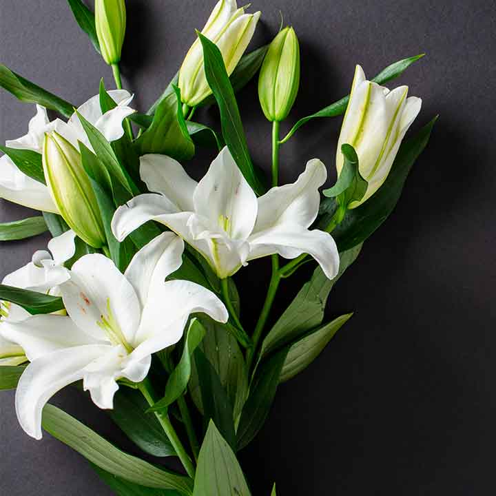 fiori-funerale-impresa-funebre